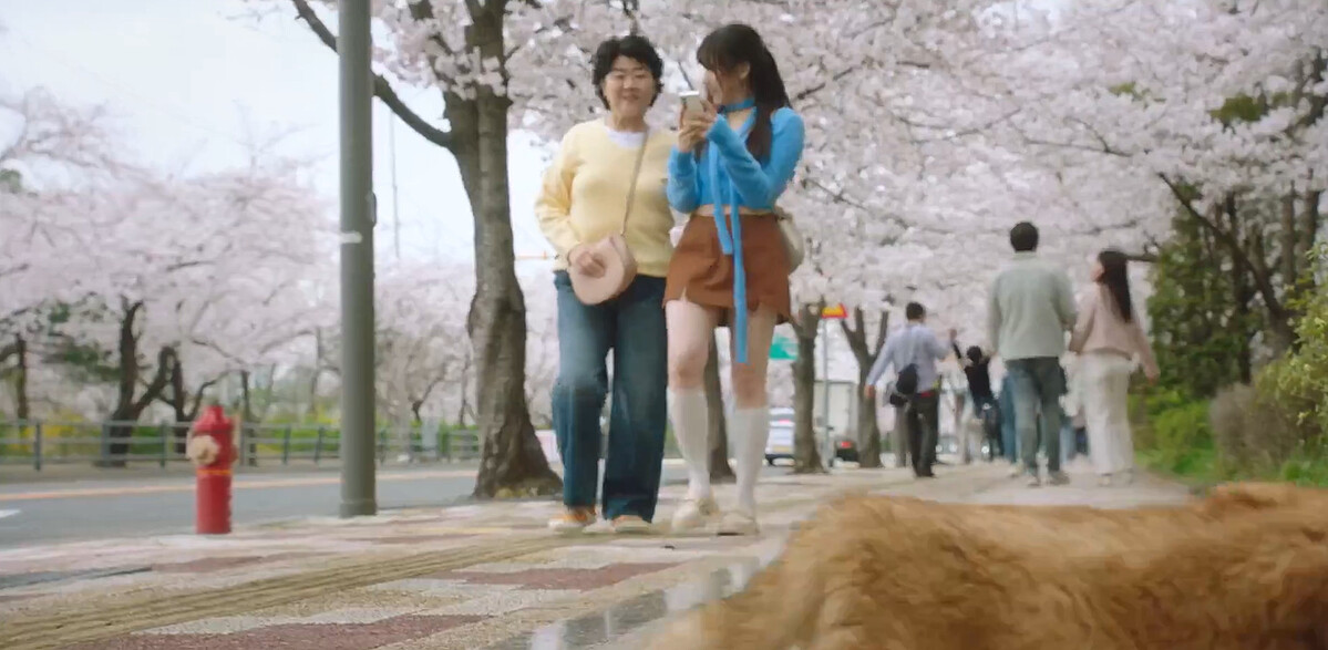 解除變身詛咒或重返青春，不再困擾李微進，享受當下的生活，任貓咪從眼前溜走