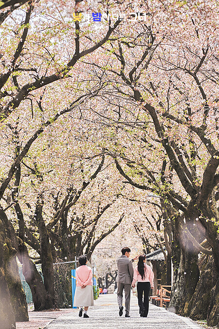 最後鏡頭的設計意境浪漫，林順就是李微進，一直在