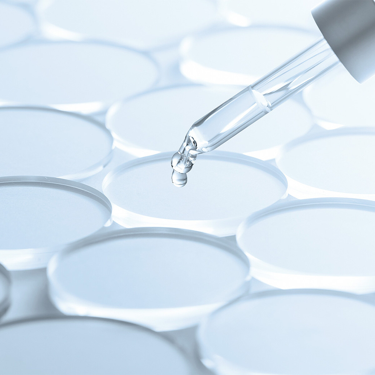 SOURCE: IG@takami_tw