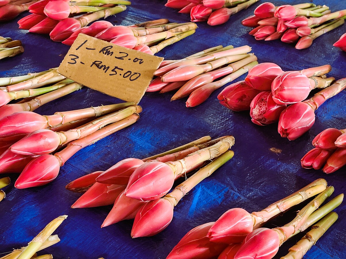 週日市集攤販上的火炬薑花苞與嫩莖