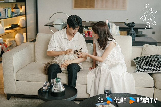 陸劇《遇見你的那天》10大劇情演員！《當我飛奔向你》2.0，久別重逢＋雙向暗戀