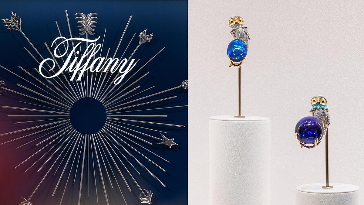 Tiffany&amp;amp;Co.頂級珠寶把星空收進作品中，經典「石上鳥」推出新品種...