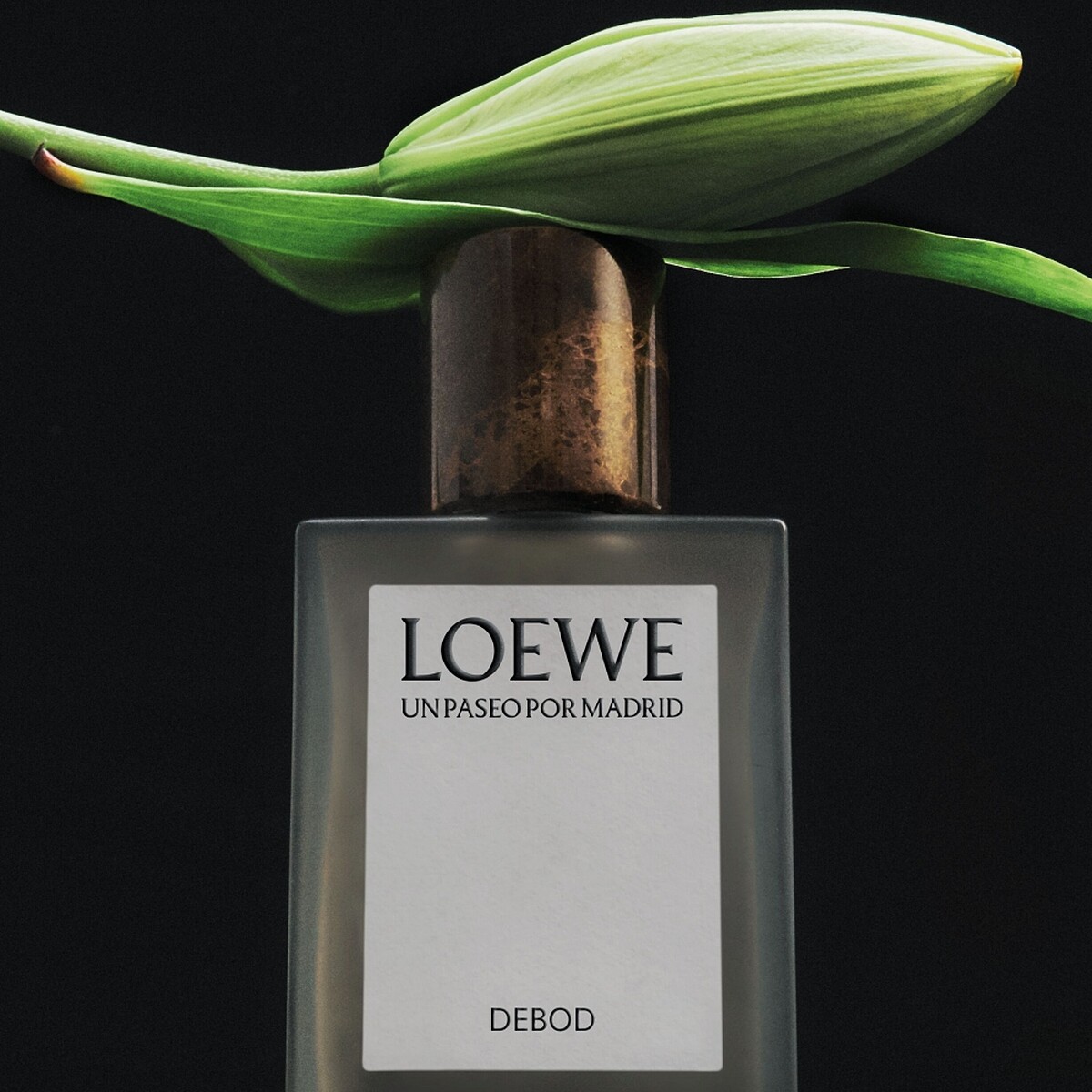 Loewe德波風情淡香精Debod EDP 100ml,NT10,400