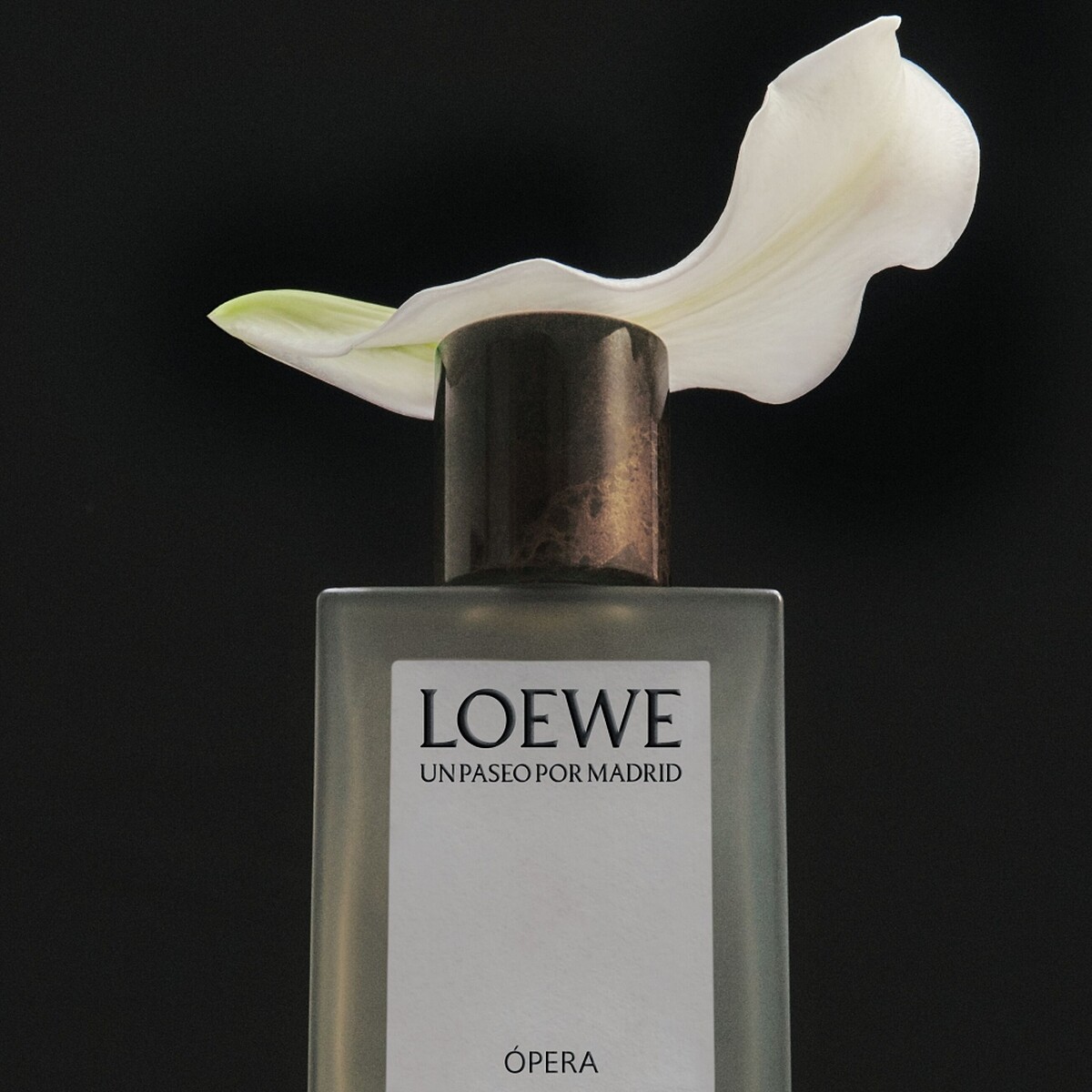 Loewe皇家魅影淡香精Opera EDP 100ml,NT10,400