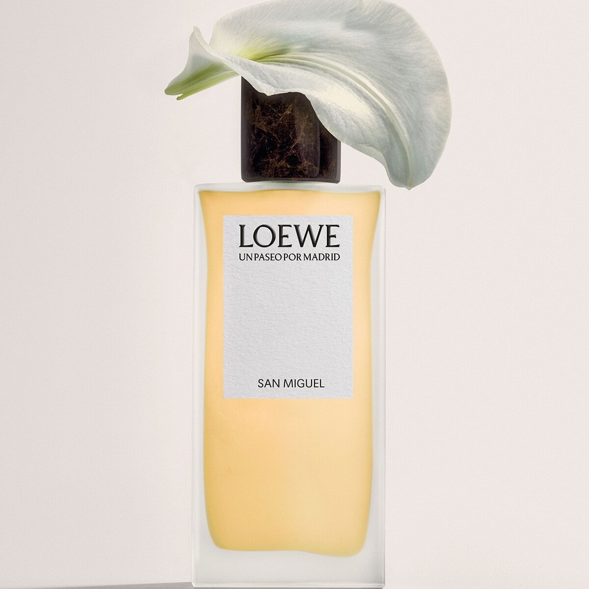 Loewe漫步聖米格爾淡香精 San Miguel EDP,NT10,400
