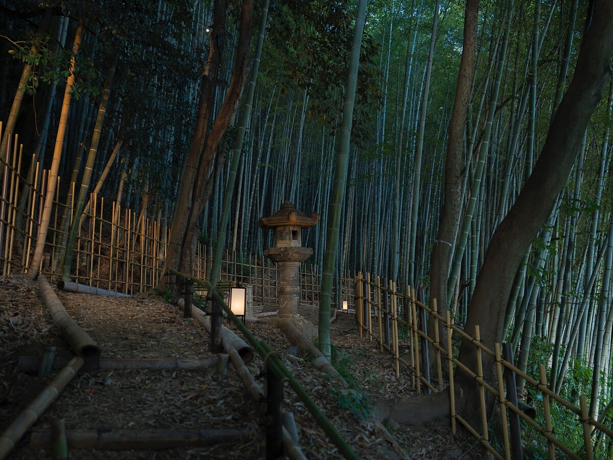 酒店的花園和竹林透過工匠巧手修復。