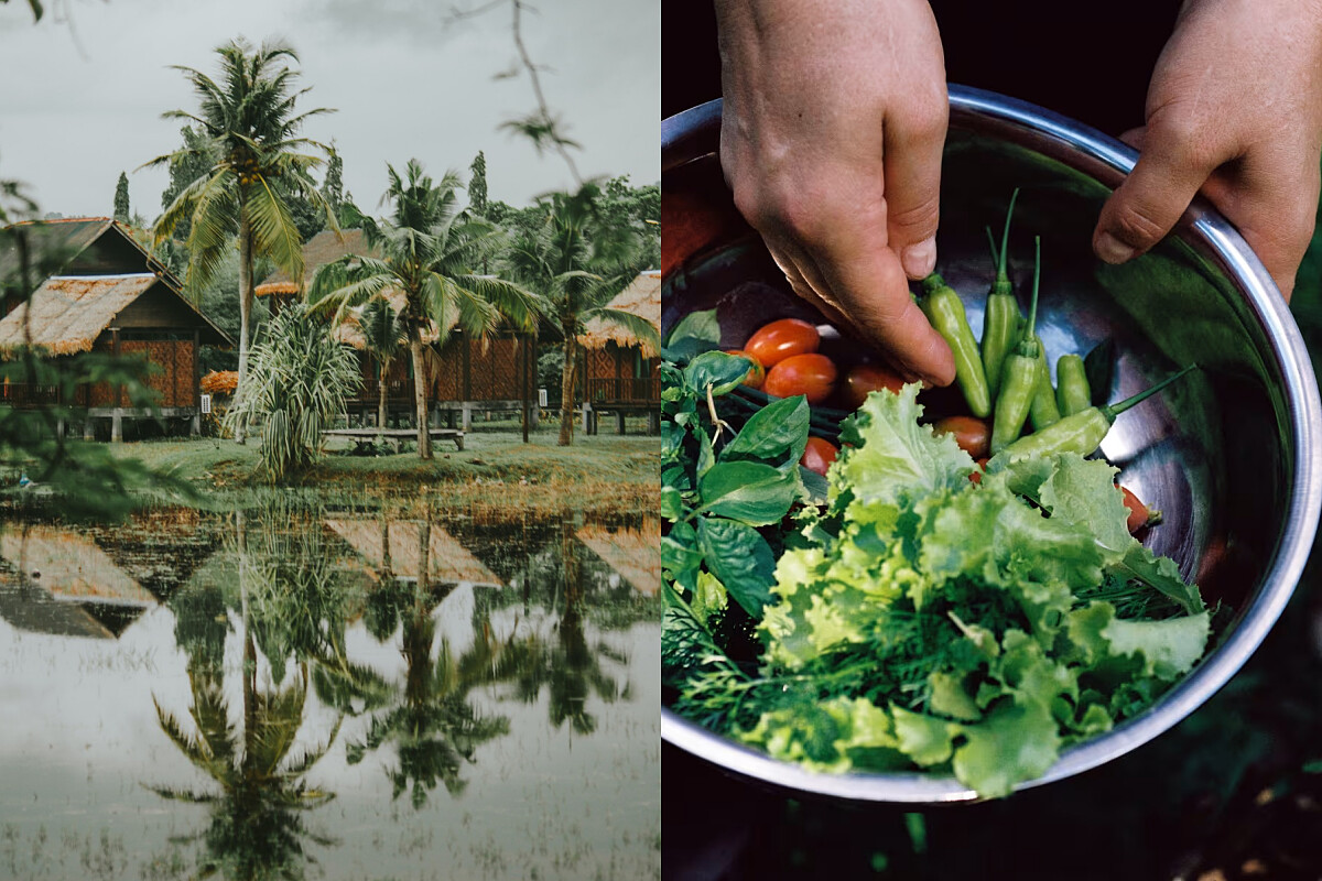 峇峇娘惹美食探索。