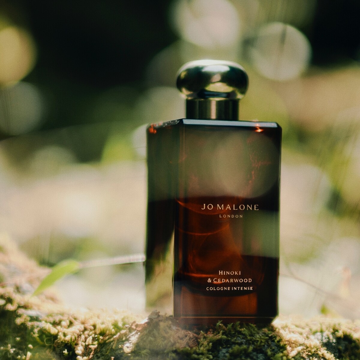 Jo Malone London檜木與雪松芳醇香水情境圖。