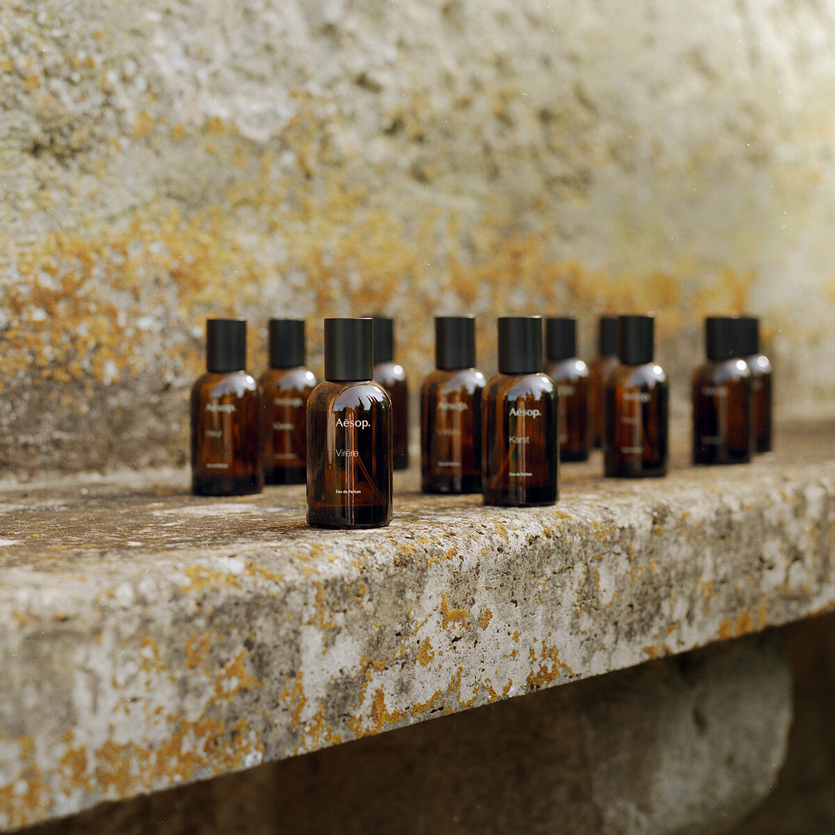 Aesop蔚香水情境圖。