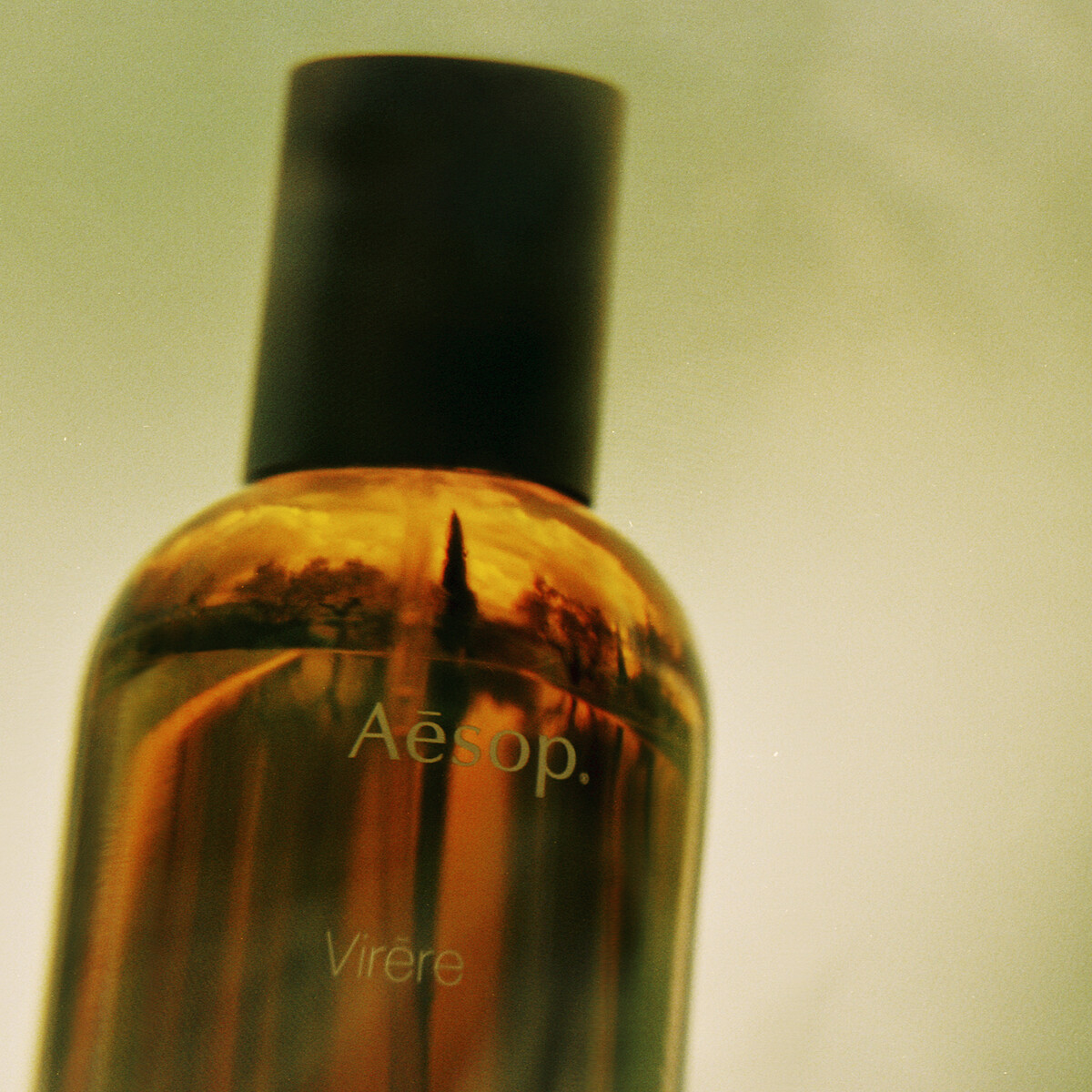 Aesop蔚香水情境圖。