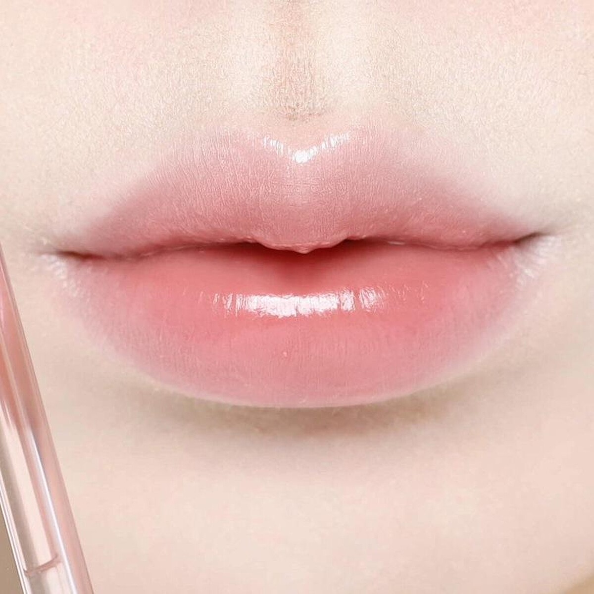 圖片來源：小紅書 @芥末色的喵