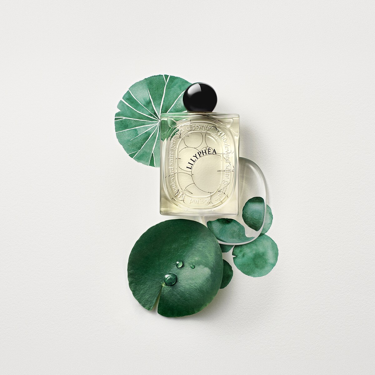 Diptyque Lilyphéa睡蓮粼波淡香精形象圖。