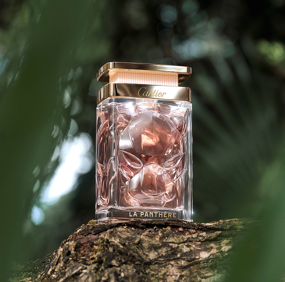 LA PANTHÈRE美洲豹淡香水