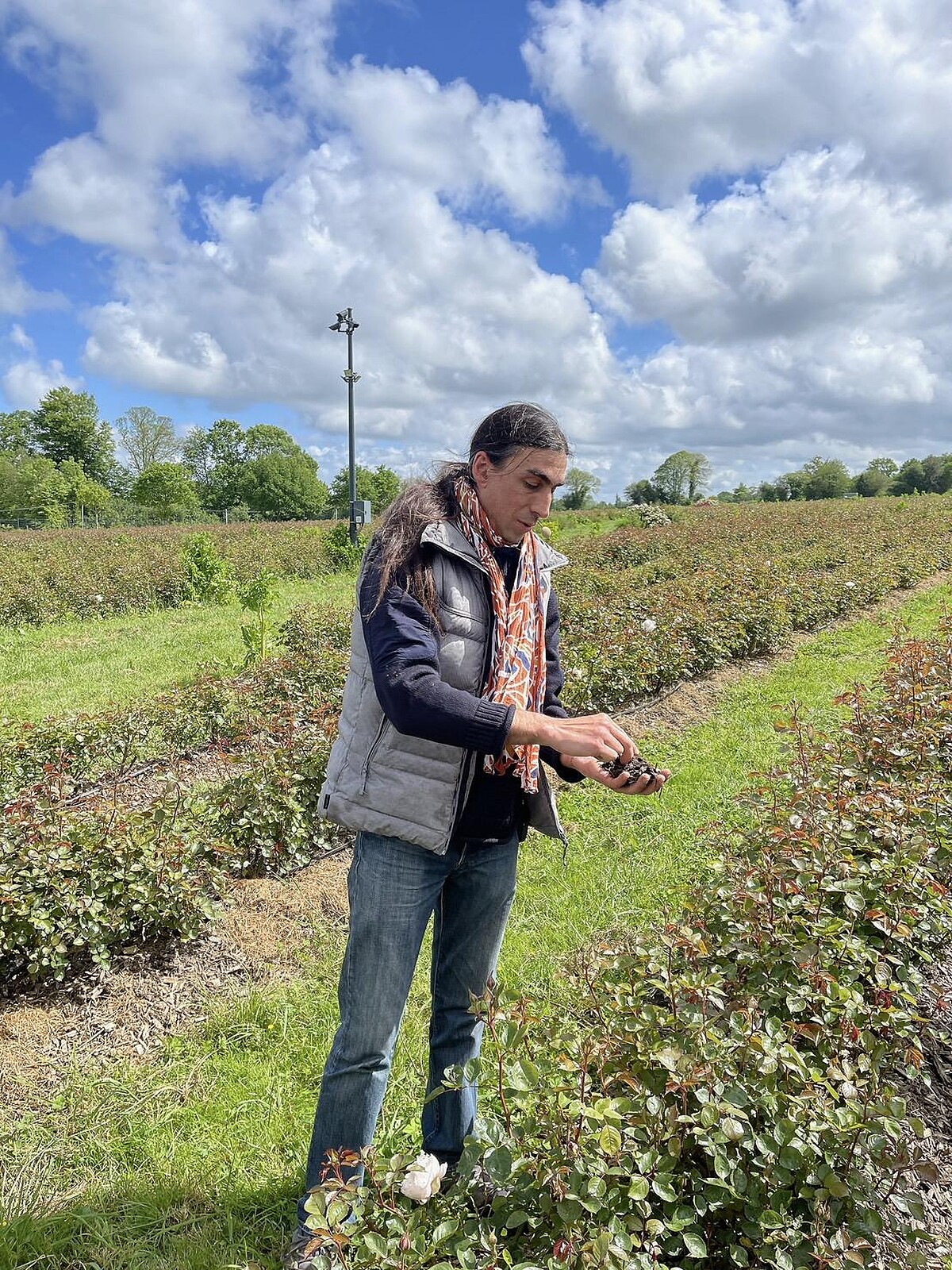 花園園藝師 Nicolas Sambet