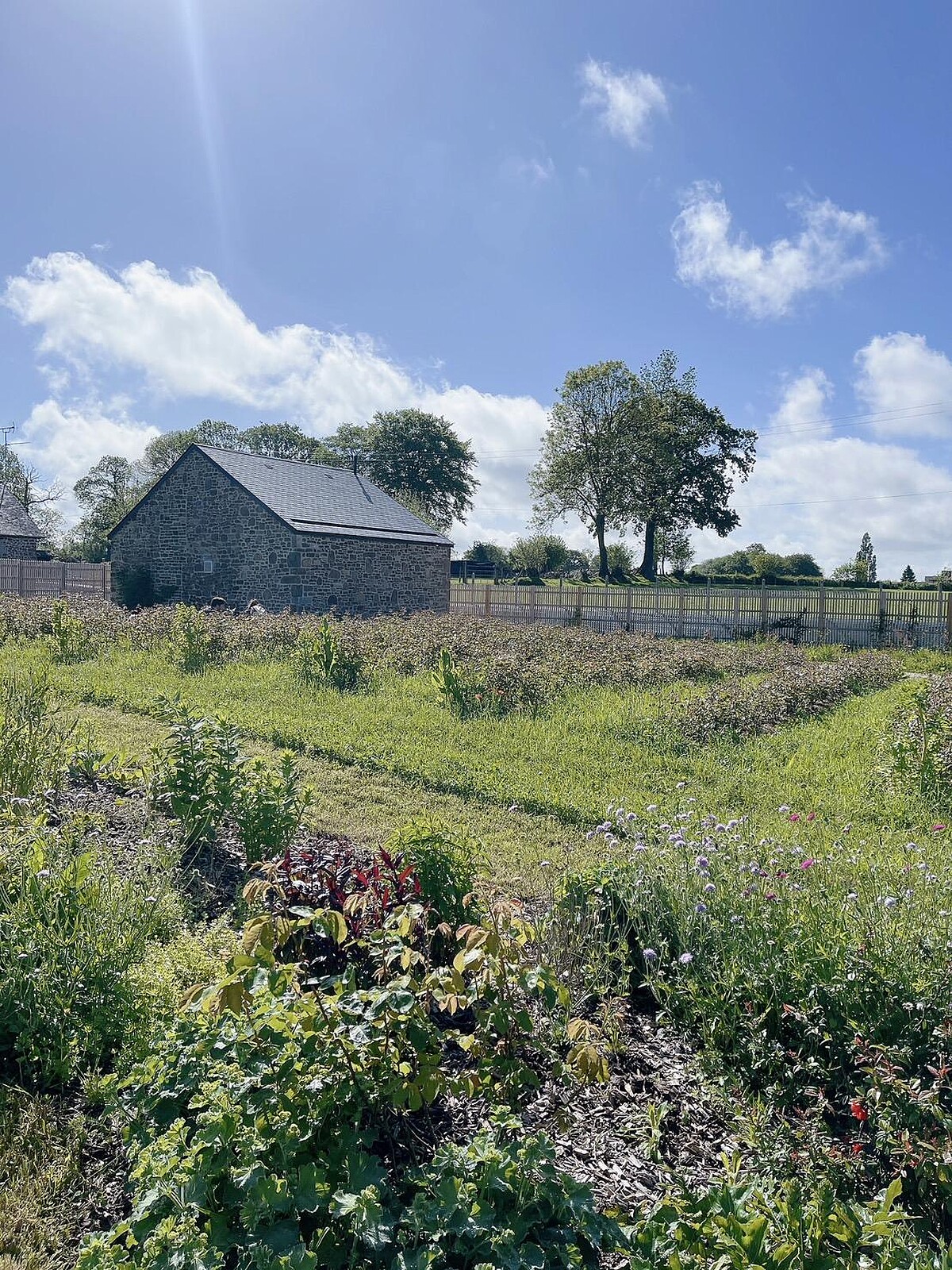 Dior花園堅持再生農法栽植