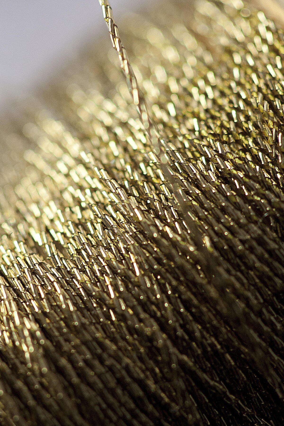 靈感圖 D&eacute;tail d'un fil or &copy; Sophie Carre