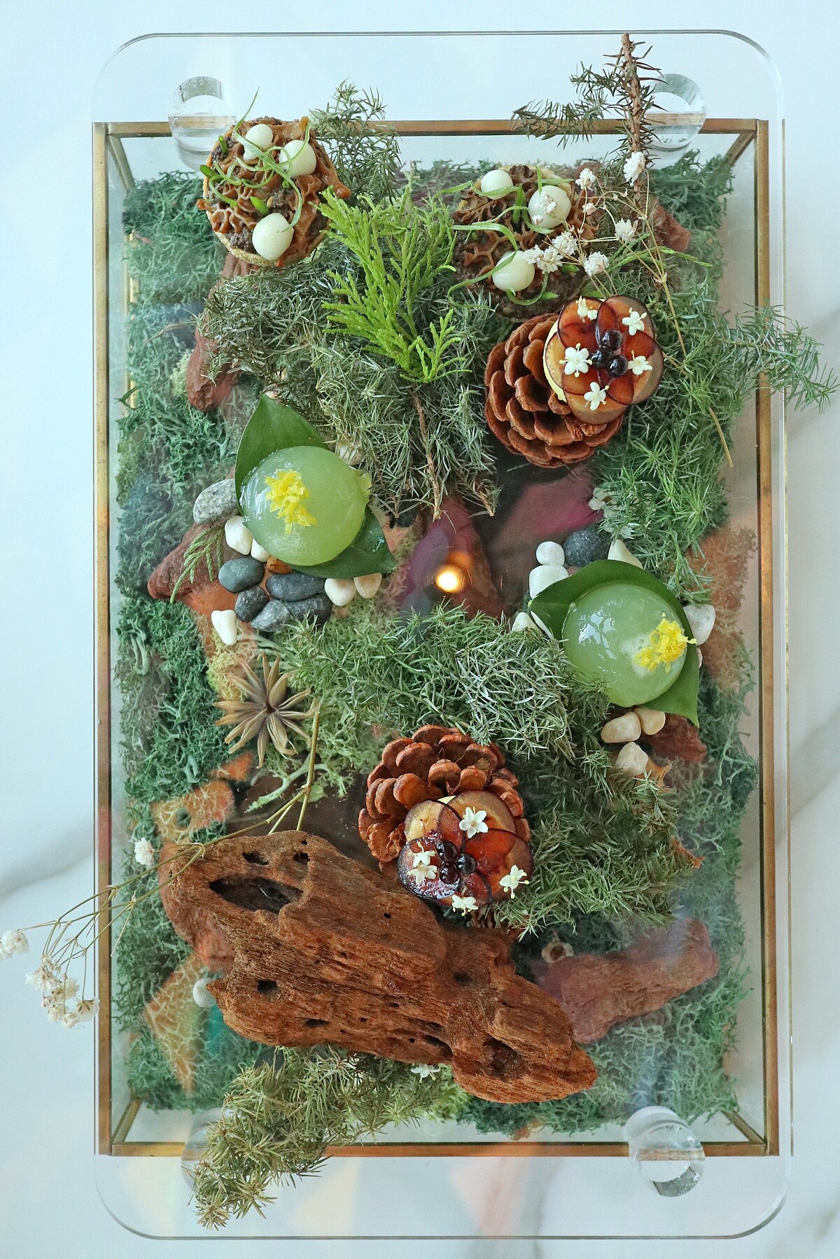 與知名花藝品牌「煙花蕨醒」合作。