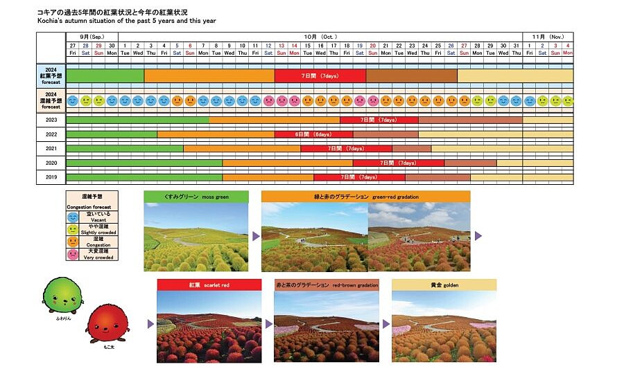 國營常陸海濱公園「波波草」2024變色時間表