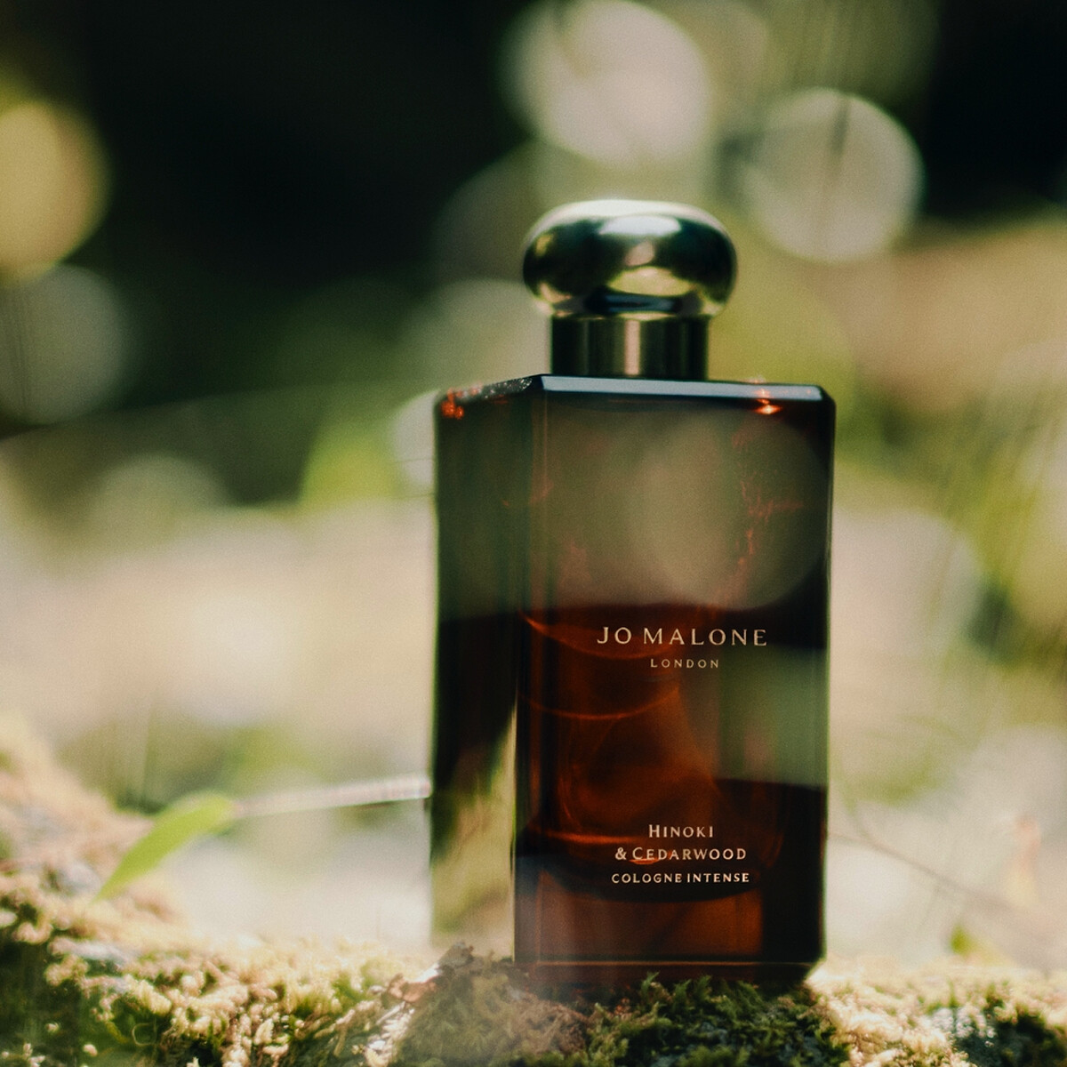 Jo Malone London檜木與雪松芳醇香水情境圖。