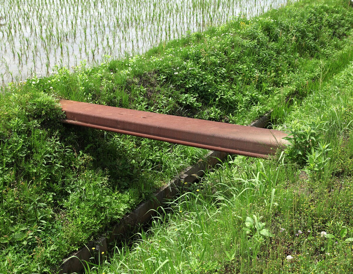 下道基行《橋》_藝術家提供