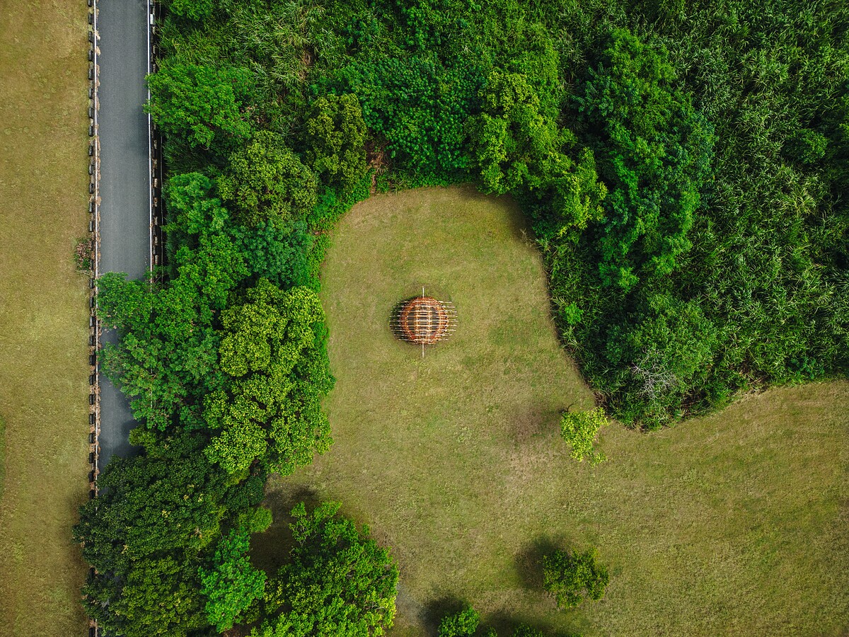 大農大富平地森林園區藝術裝置《築巢VII-台灣野豬》