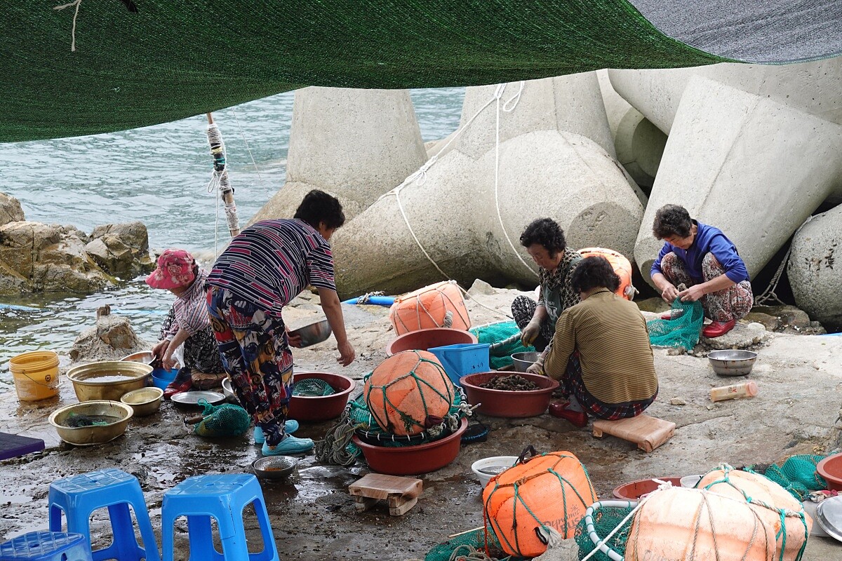用餐區不遠處,海女奶奶們正在清洗早上補到的海鮮。