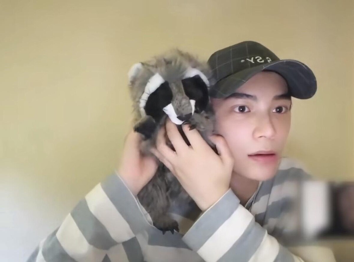 Photo/丁禹兮微博