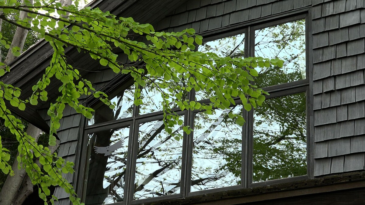 充滿童趣的剪紙貼在宮﨑駿個人工作室的窗戶上