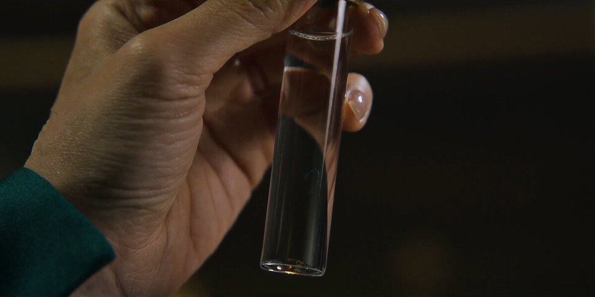 由愛生恨的前田逼張泰尚喝納人