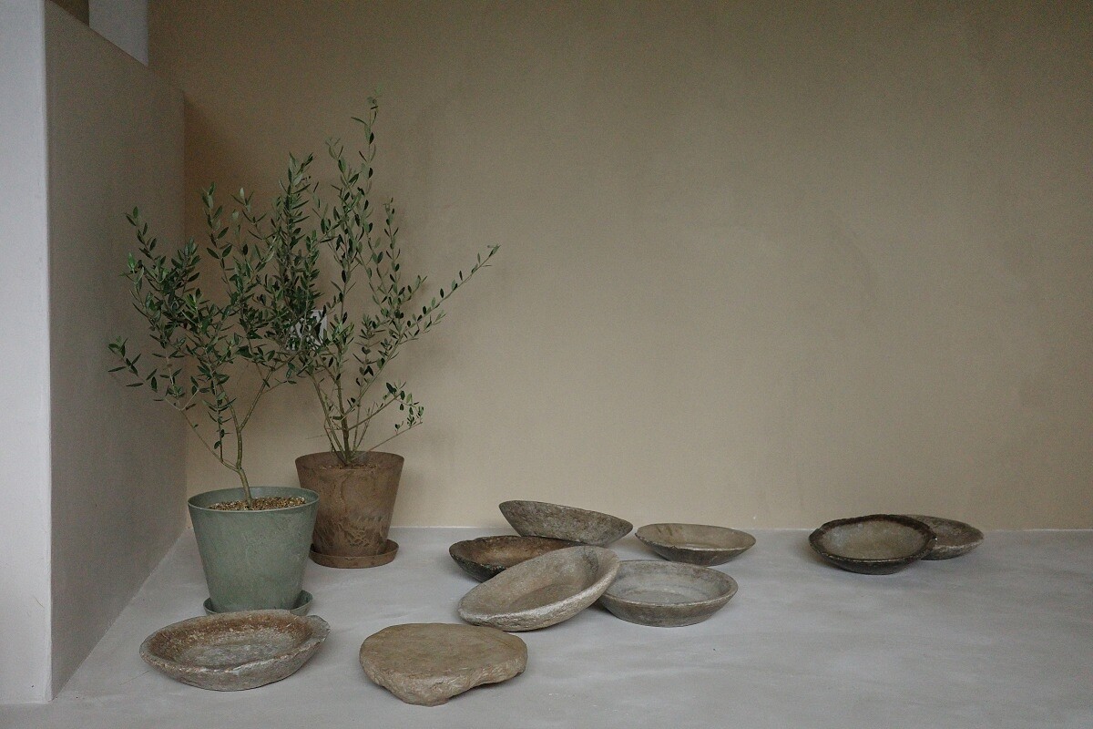 簡約的現代陶器與橄欖樹。