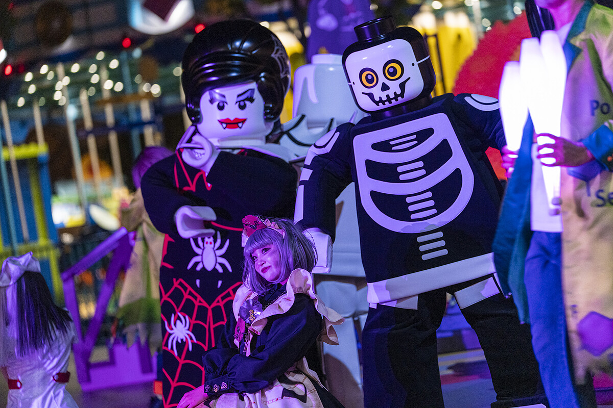 &copy;2024 The LEGO Group