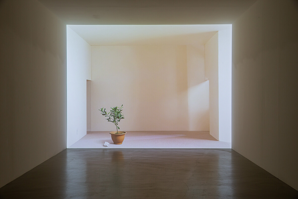 王雅慧，《日光下的靜物》，2005，錄像裝置，4分36秒。臺北市立美術館典藏。