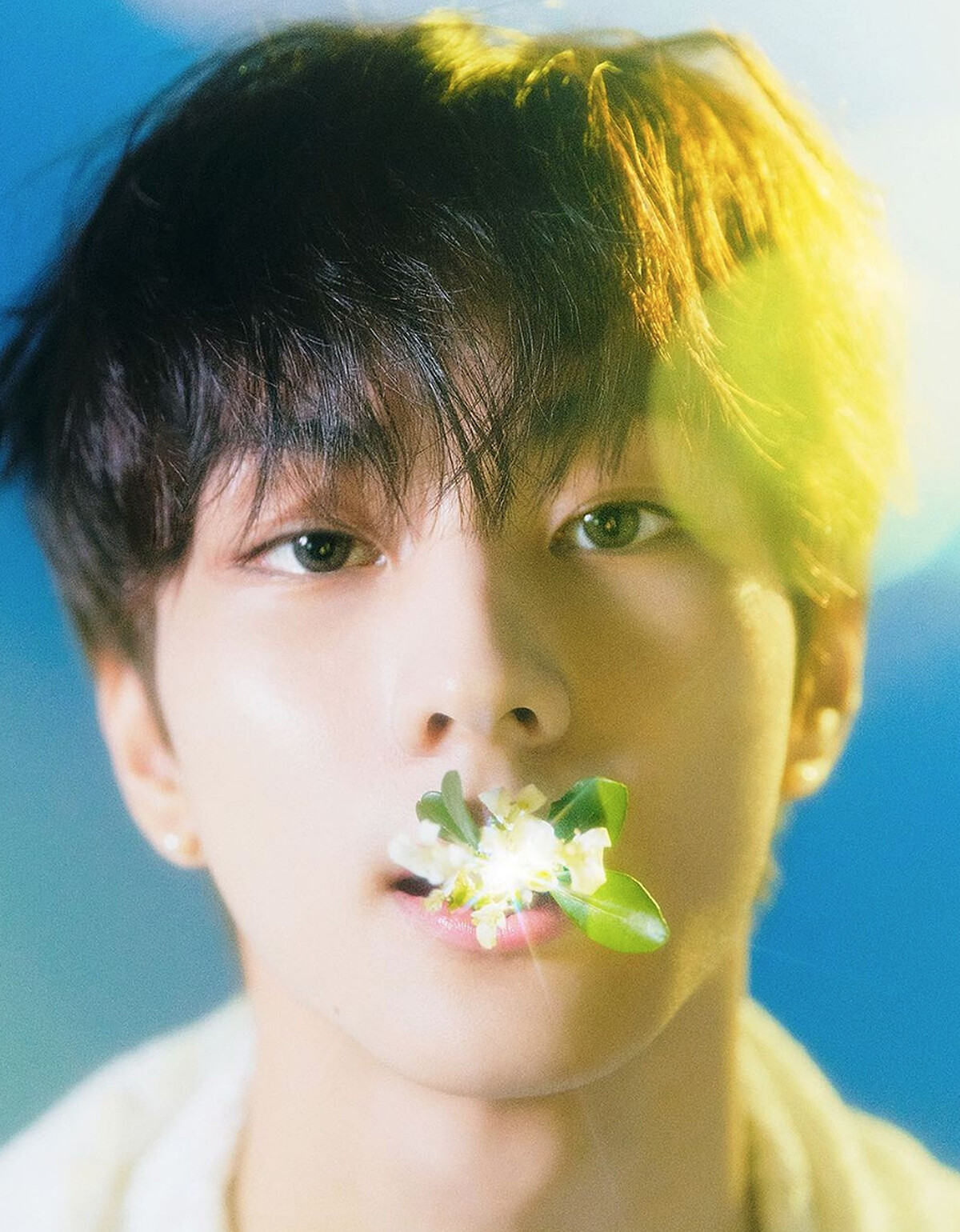 Photo / Instagram@enhypen