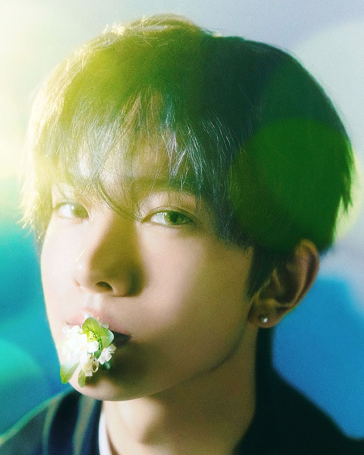 Photo / Instagram@enhypen