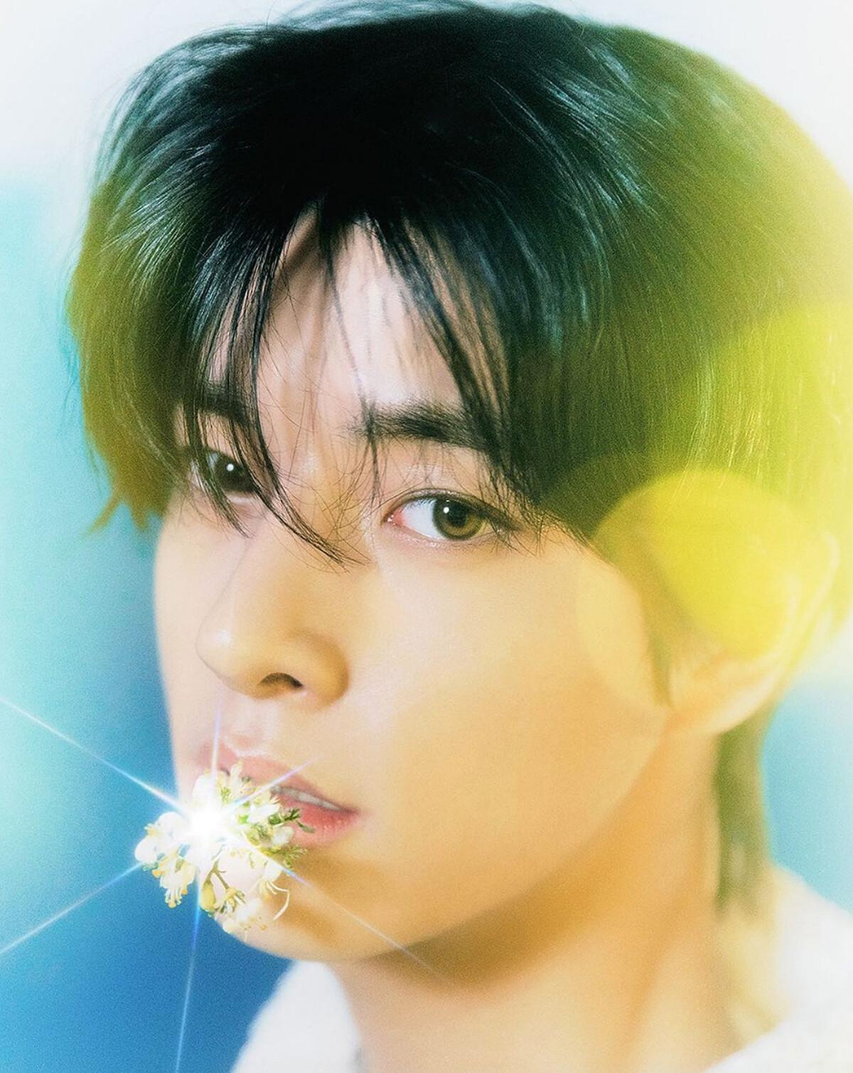 Photo / Instagram@enhypen