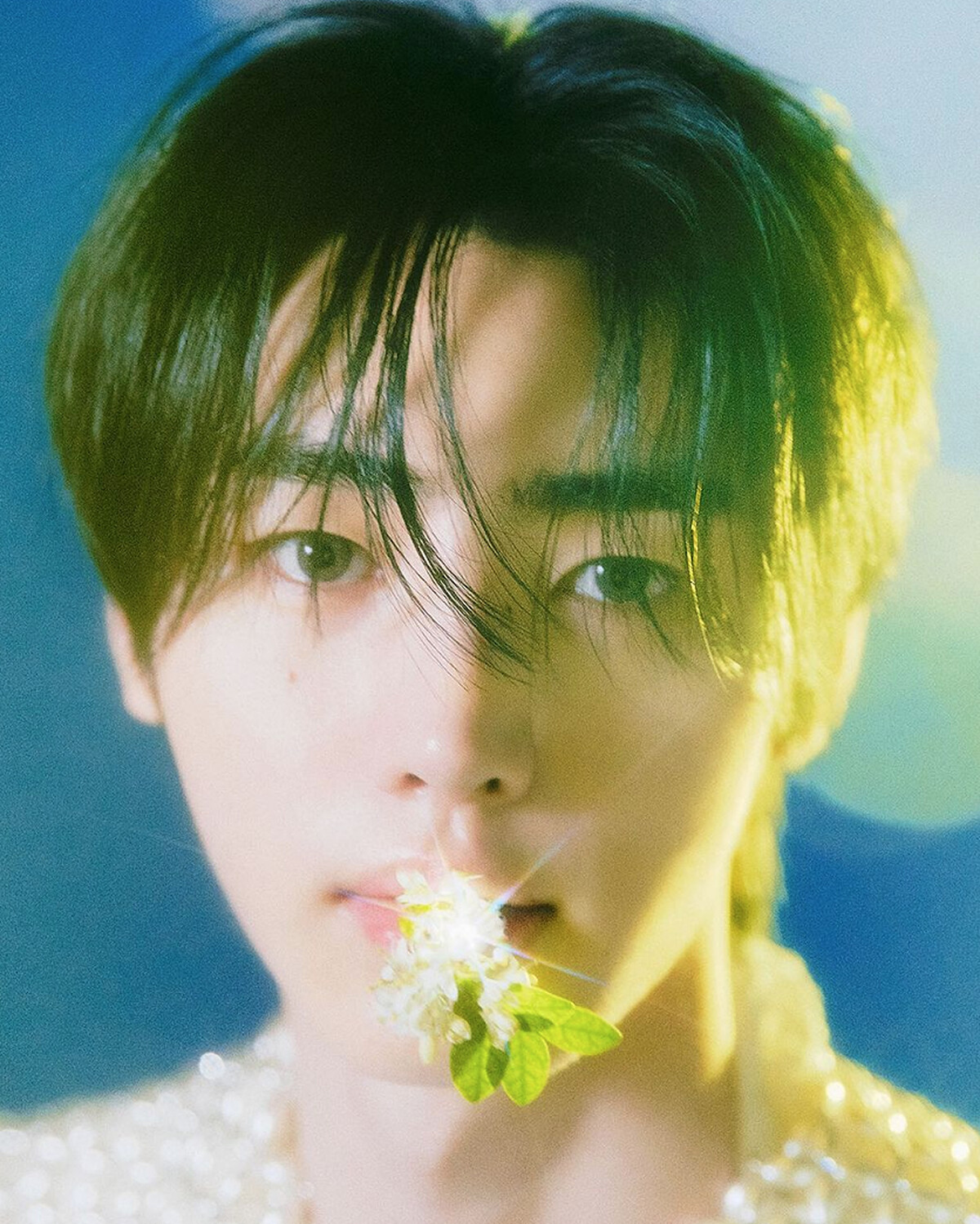 Photo / Instagram@enhypen