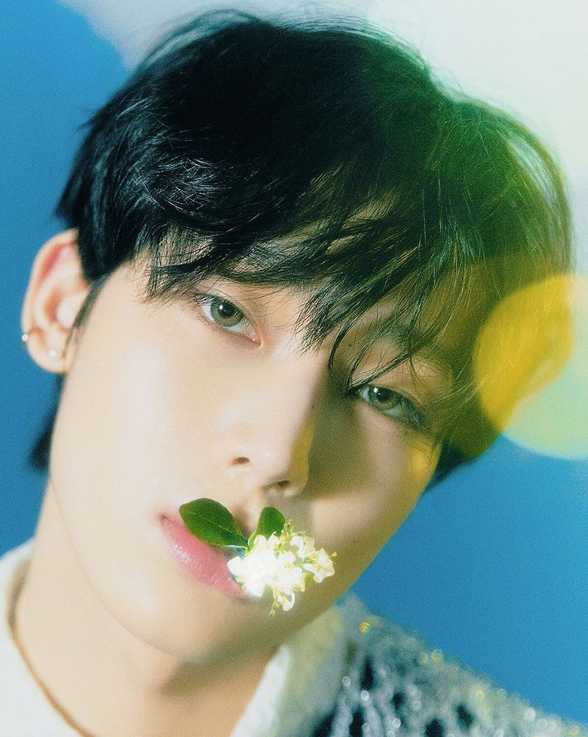 Photo / Instagram@enhypen