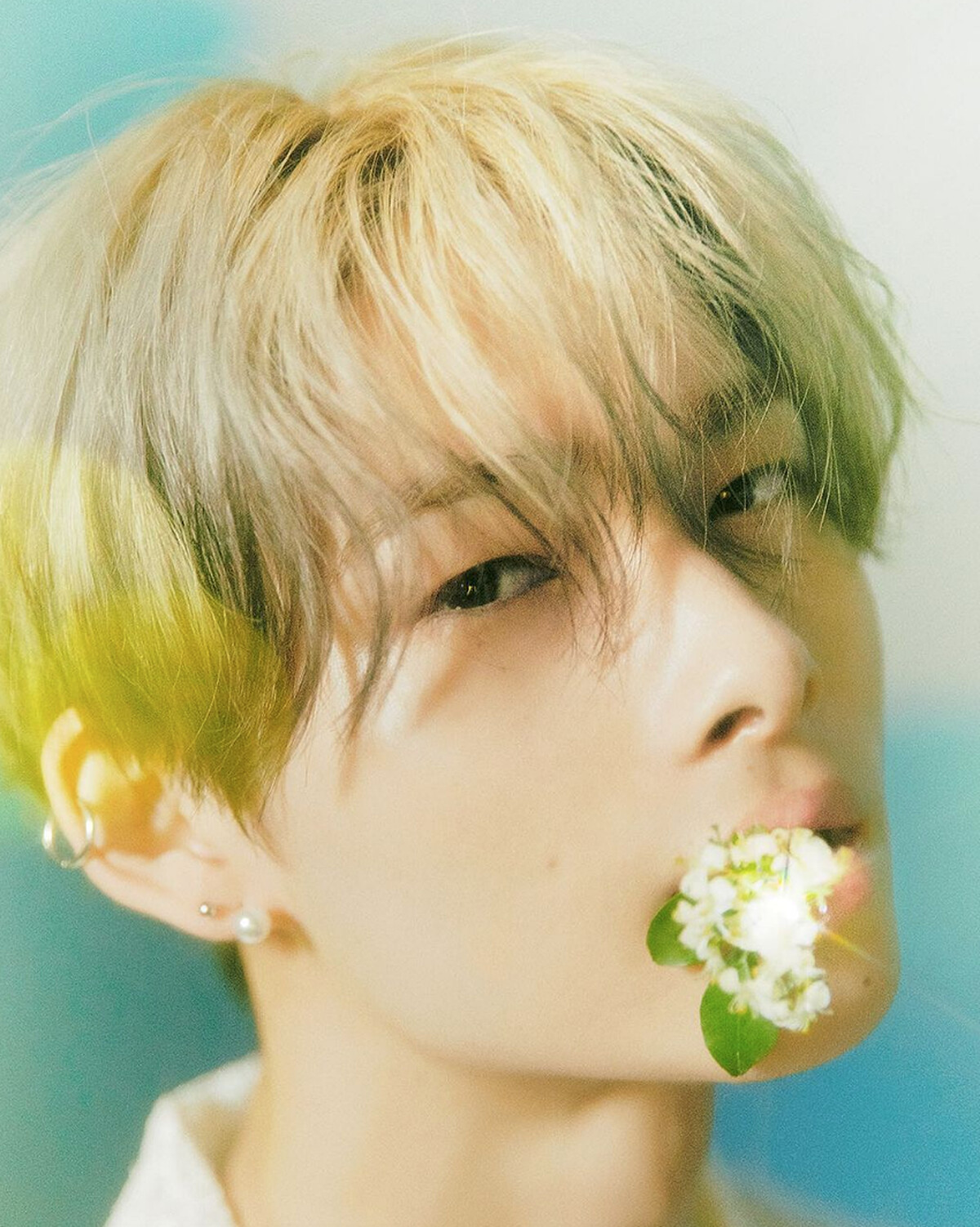 Photo / Instagram@enhypen