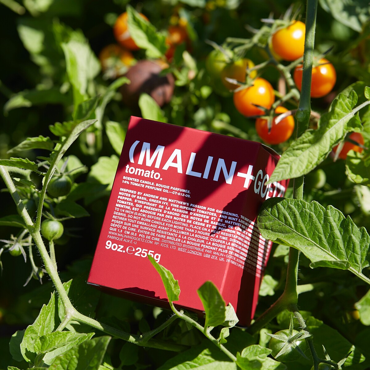 (MALIN+GOETZ)番茄香氛蠟燭255g，NT2,350