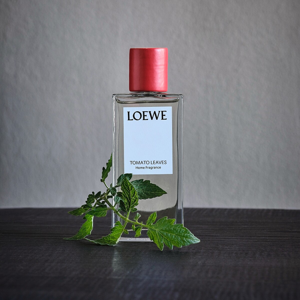 LOEWE番茄葉室內香氛噴霧150ml，NT4,200