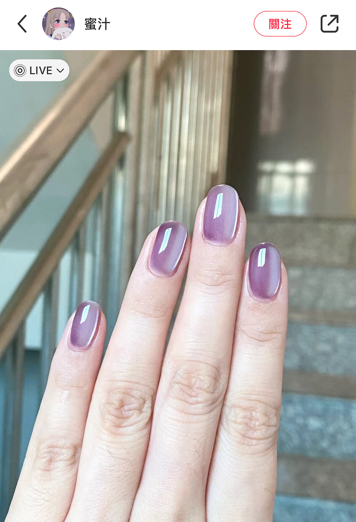 Photo/小紅書@蜜汁