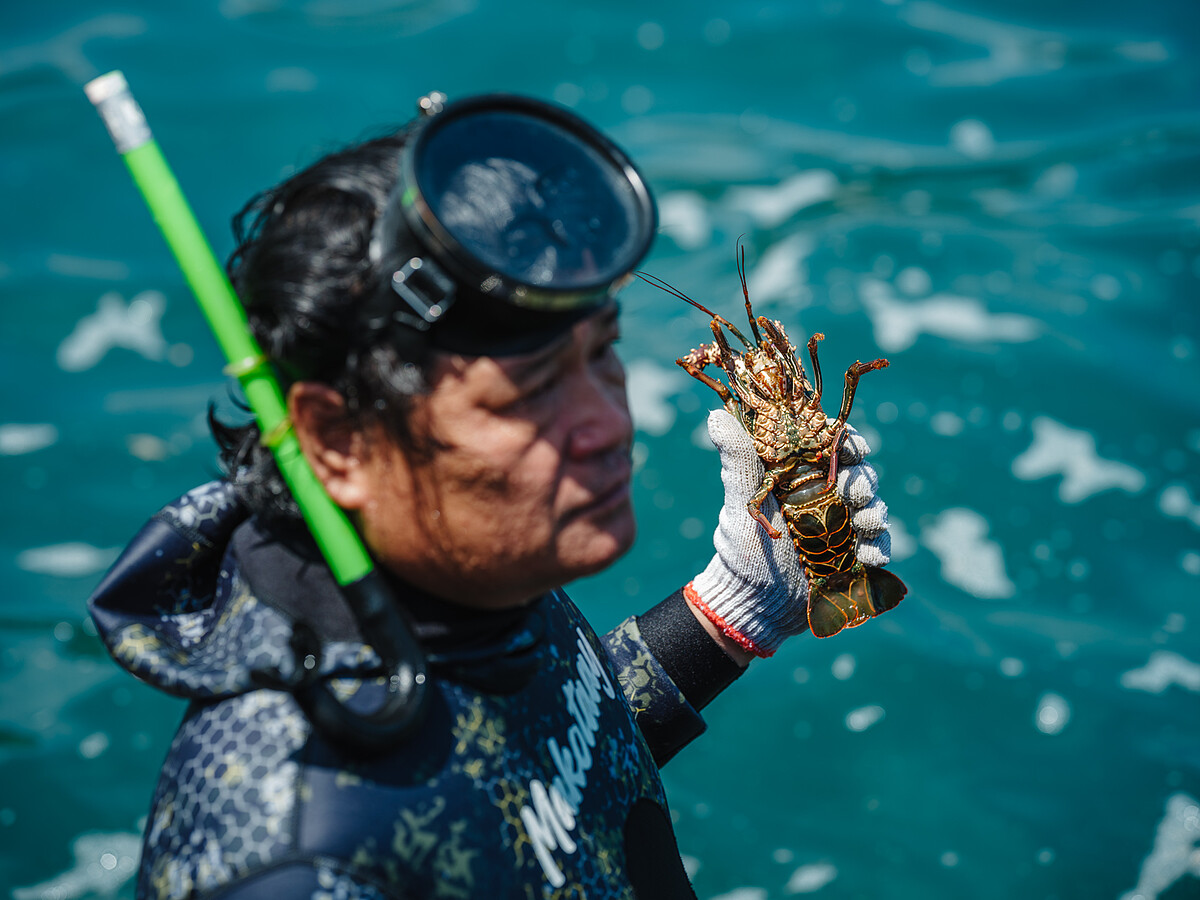 龍蝦尾鰭採集者－伊佑 &middot; 安查 