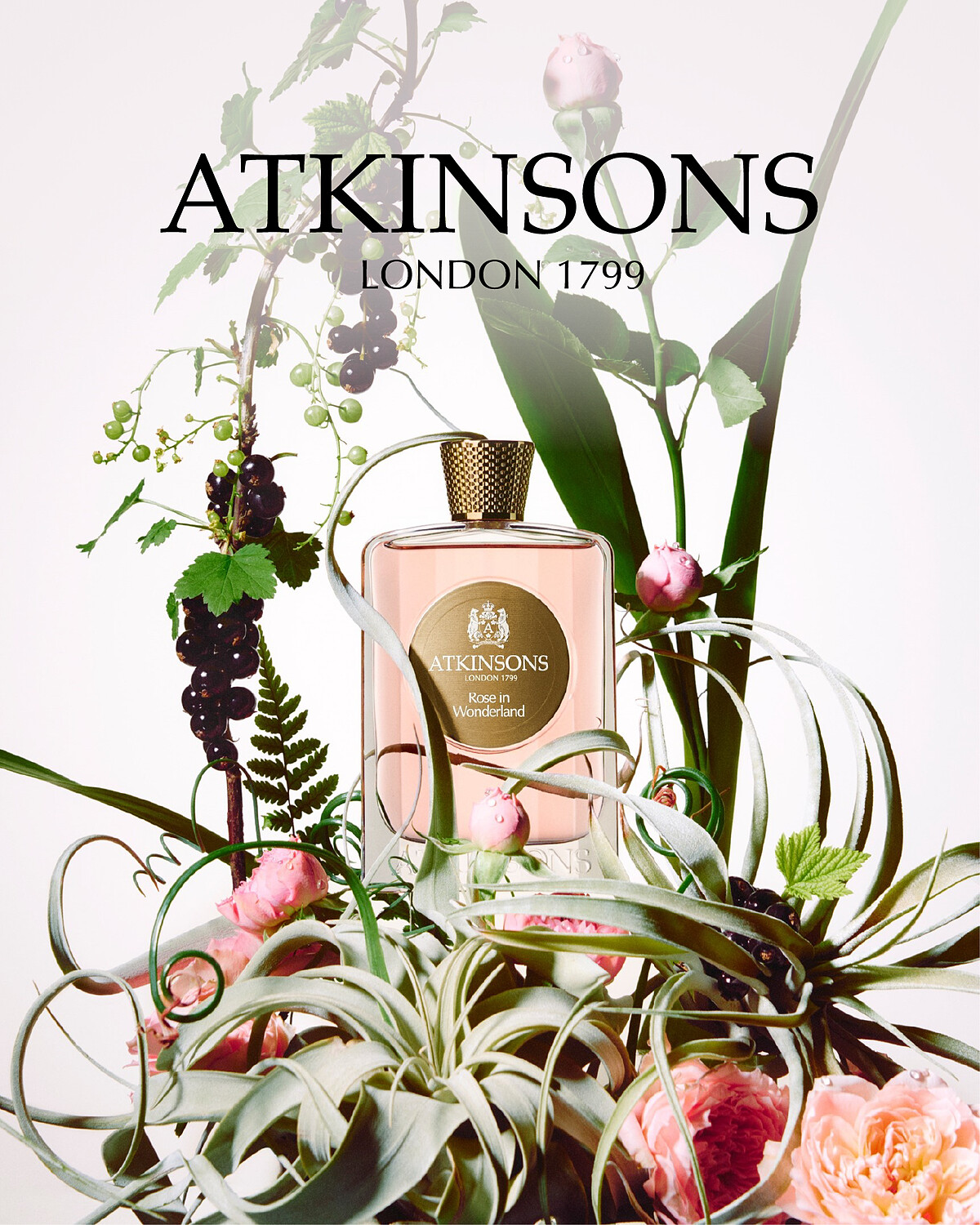 玫瑰仙境淡香精(千葉玫瑰精粹與玫瑰露) 100ml NT$6,250