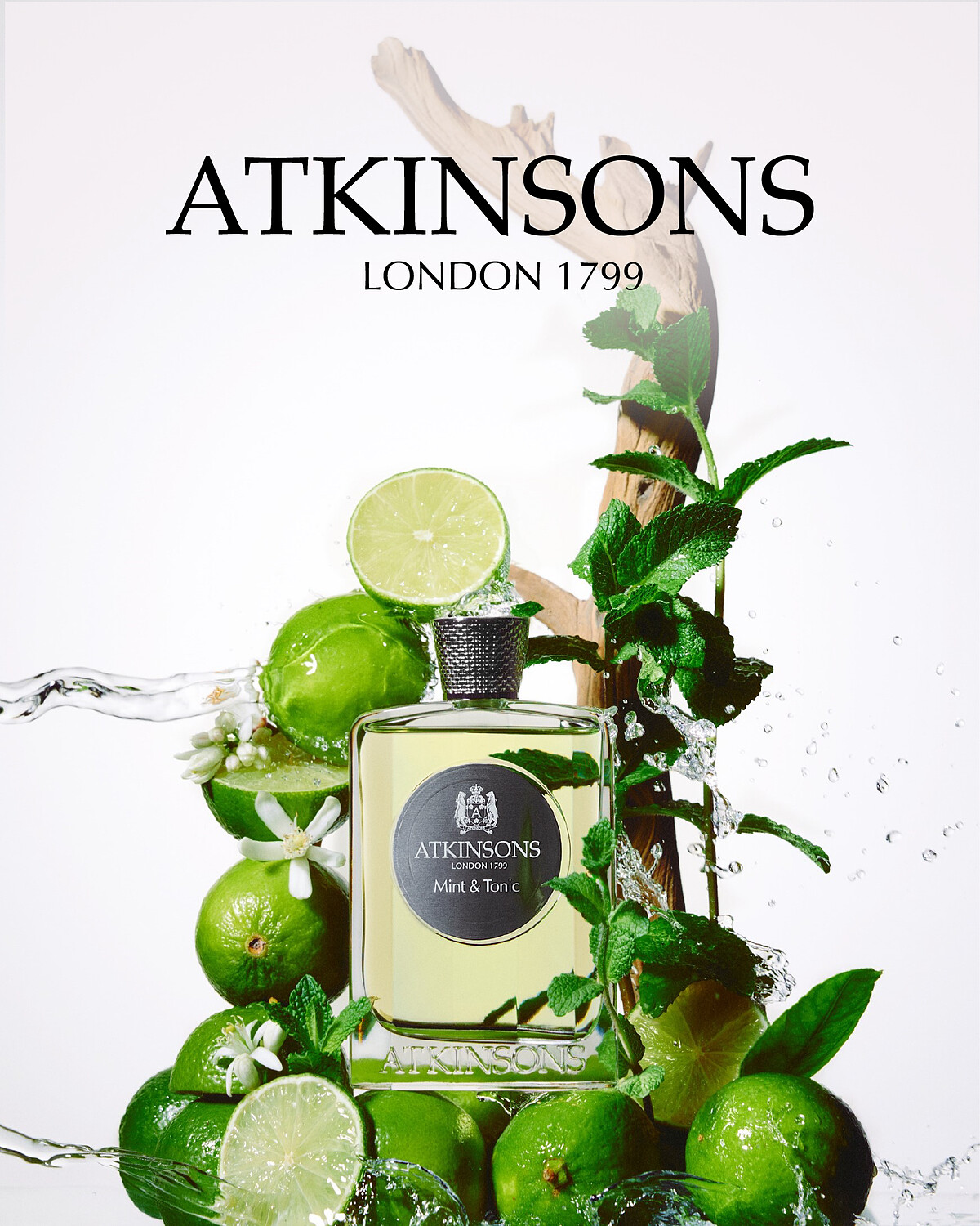 MOJITO淡香精(薄荷與萊姆) 100ml NT$6,250