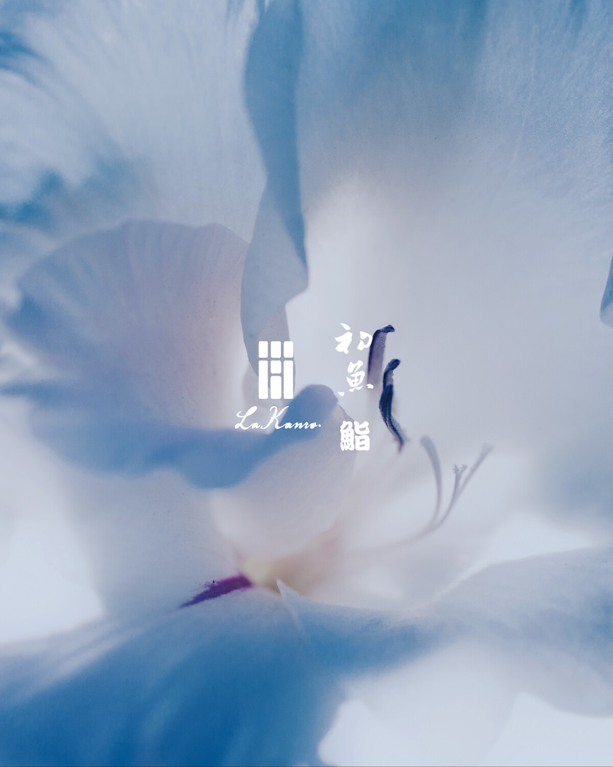 初魚餐飲集團重啟客座,再度邀請「La Kanro」主廚仲嶺淳一來台。