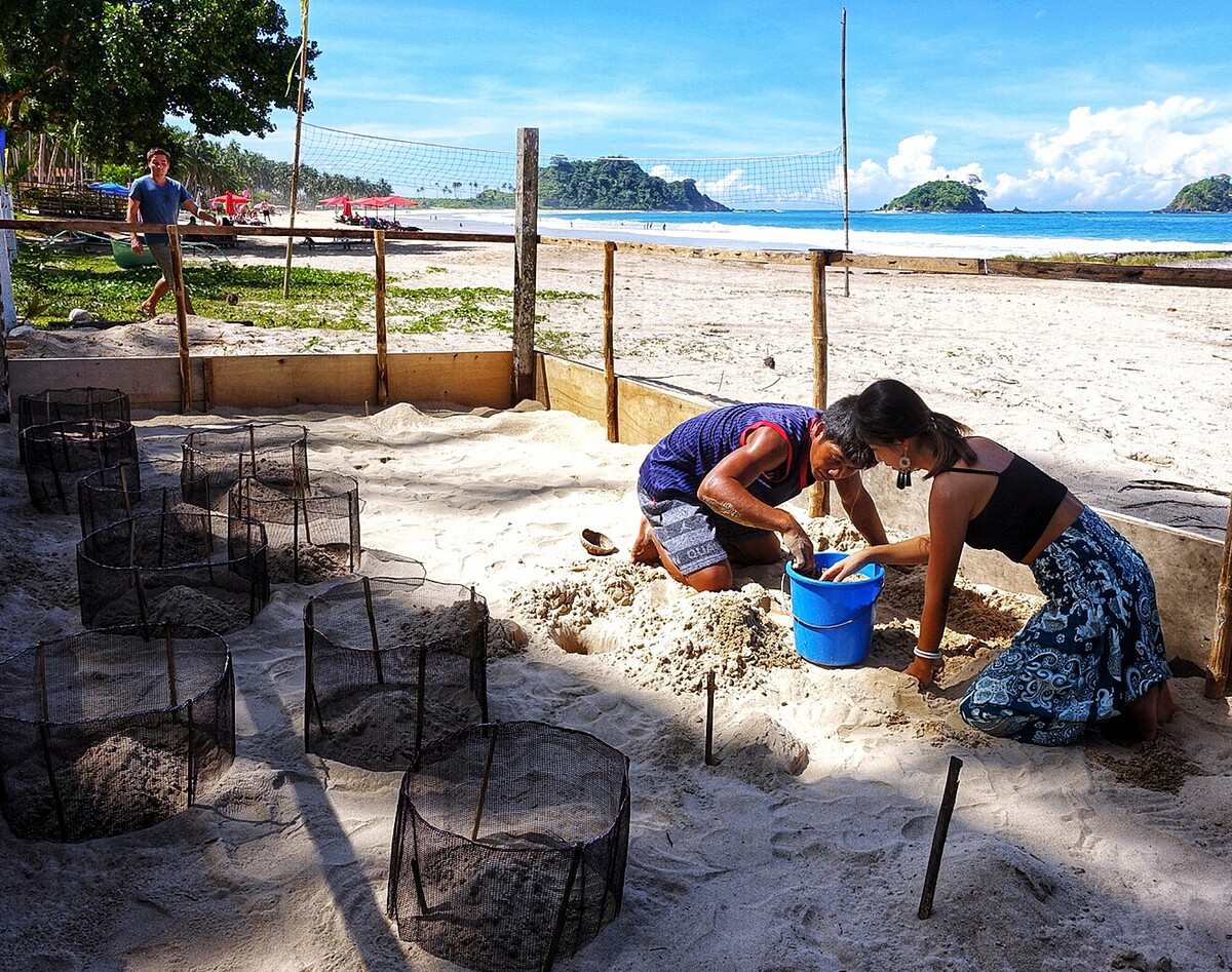 搬遷至第二個地點的海龜孵化區