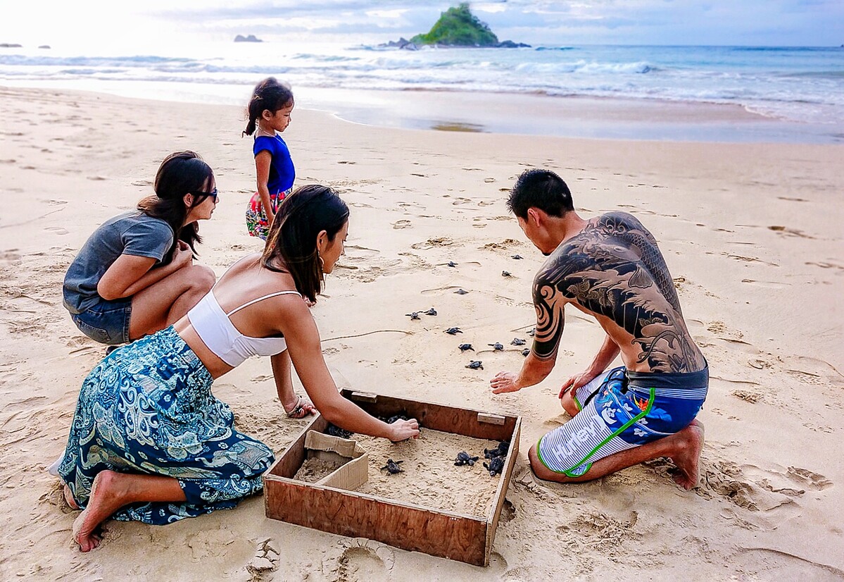 次放生孵化出來的可愛小海龜們努力爬游回到大海的家，Sylvia 和 Henry 還是會感動到掉淚。
