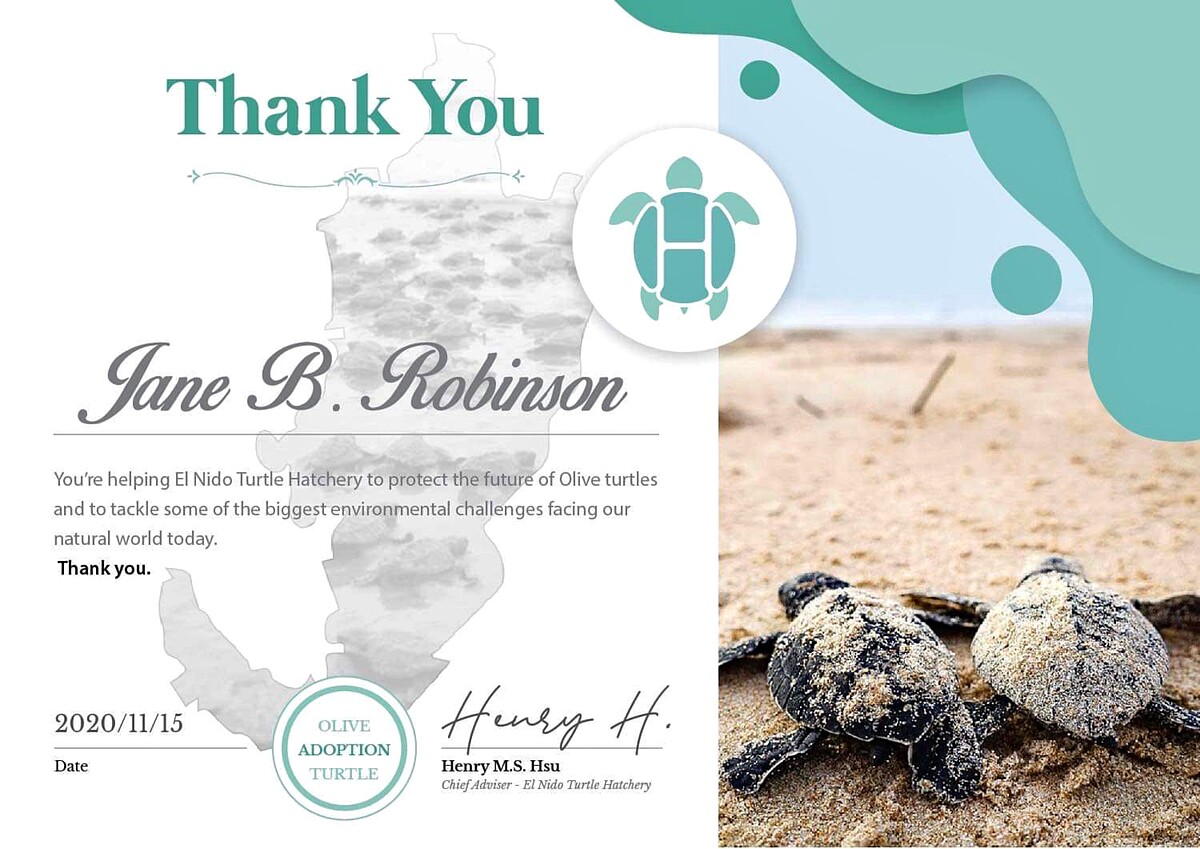 海龜認養證書