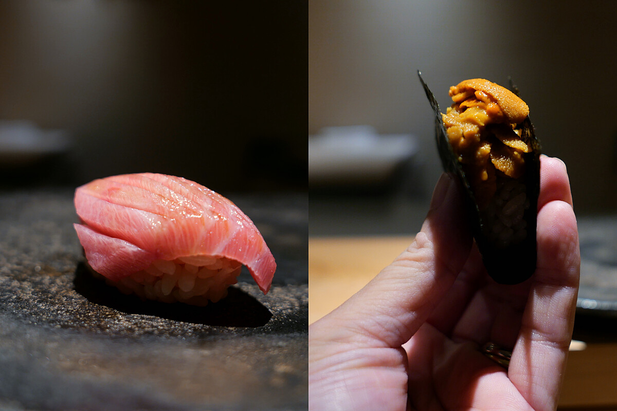 大腹與馬糞海膽。