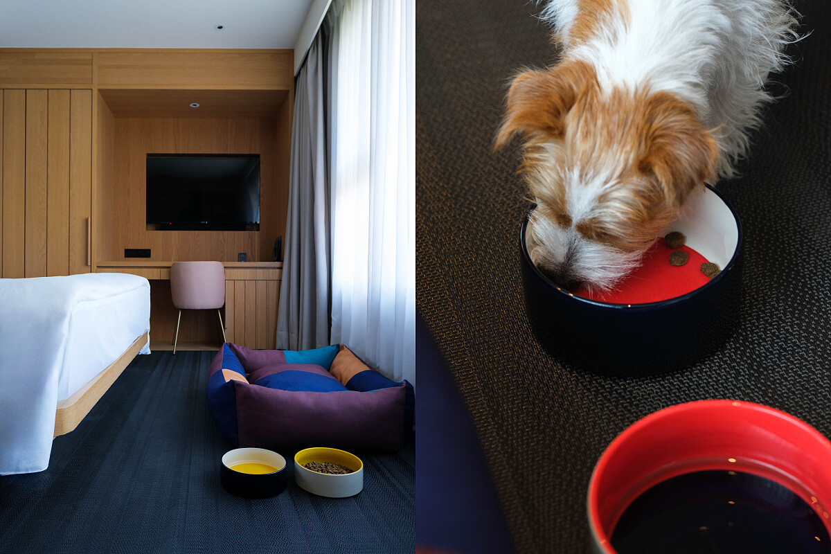 讓寵物也擁有各種『個人物品』。